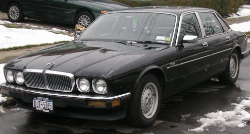jaguar89.jpg